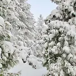 By The *