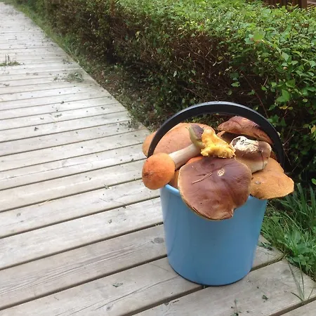 By The Villa Joutseno