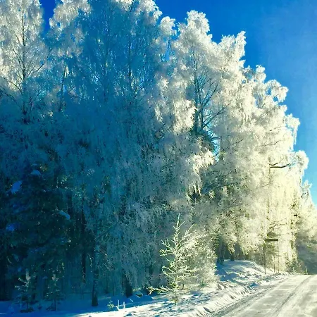 Villa By The Joutseno