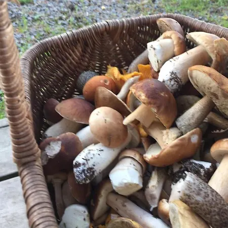 Villa By The Joutseno