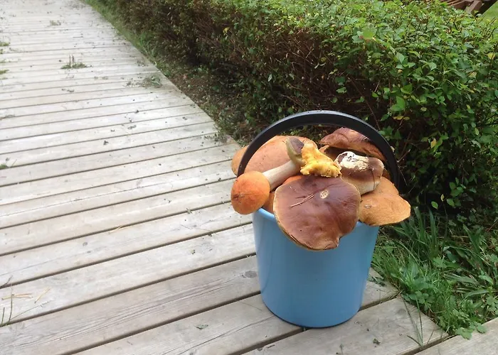 By The Villa Joutseno