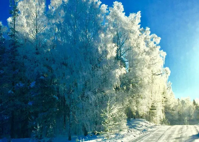 Villa By The Joutseno
