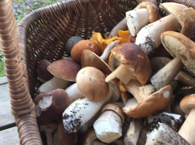 Villa By The Joutseno